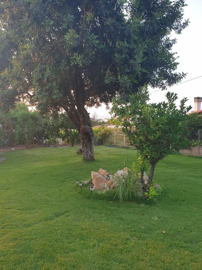 Silia Suites Malia Exteriér fotografie